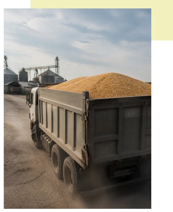 Перевозка сельхозпродукции навалом в Дальнегорск по цене от 3091 р. | Агросервис-Дль