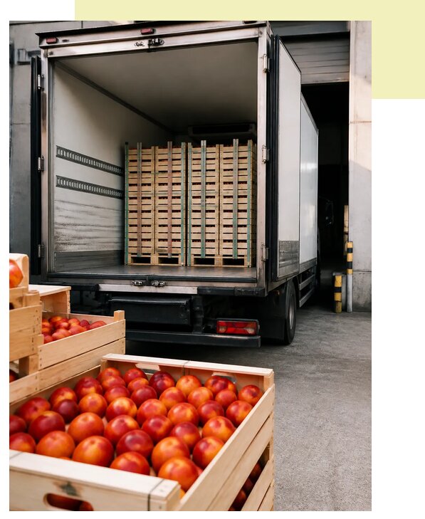 Перевозка нектаринов в Дальнегорск по цене от 5152 р. | Агросервис-Дль